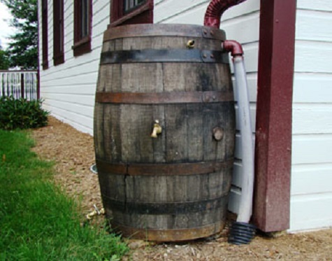 the barrel.jpg
